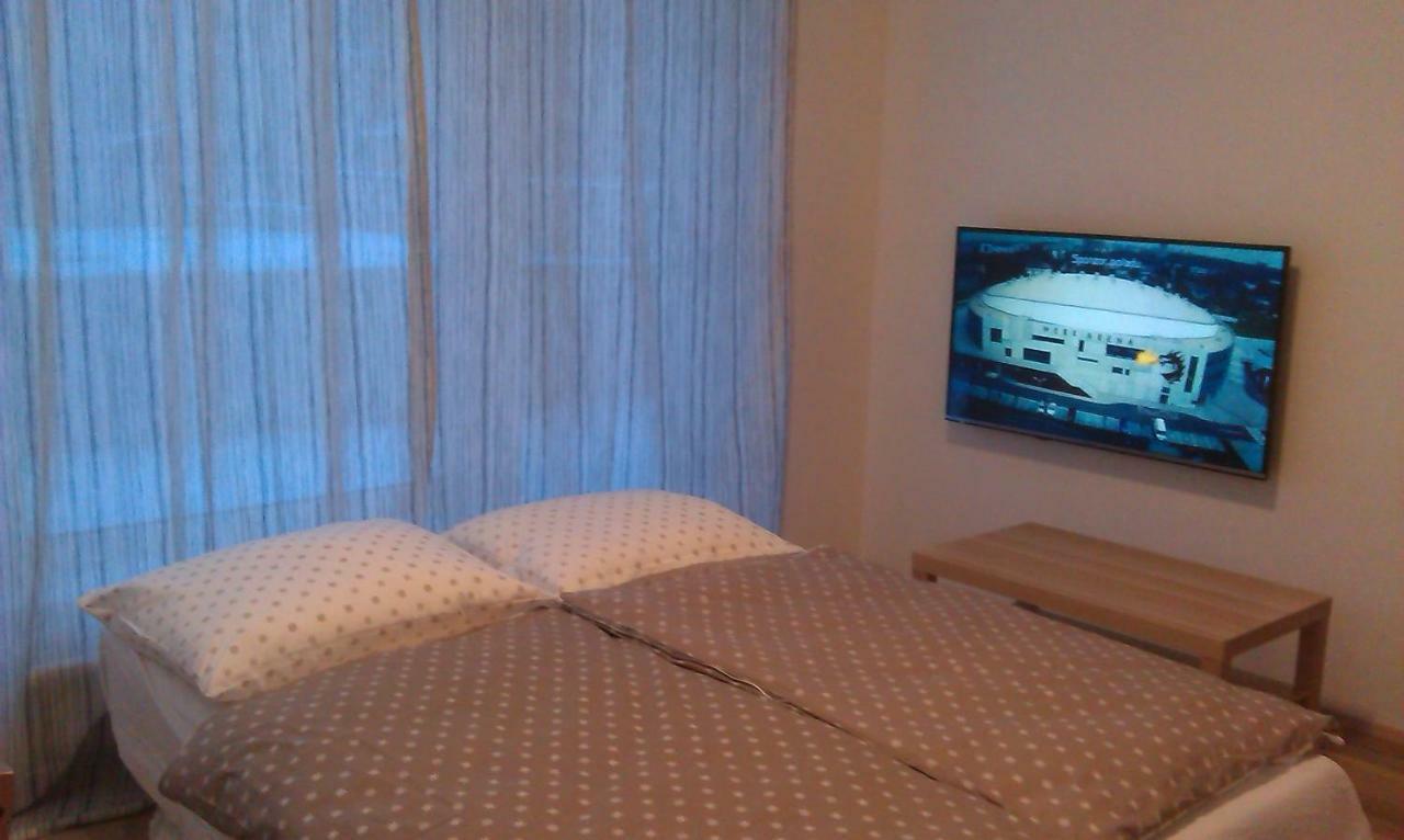 Sunny, Fully Furnished Studio Type With Terrace Plzeň Dış mekan fotoğraf